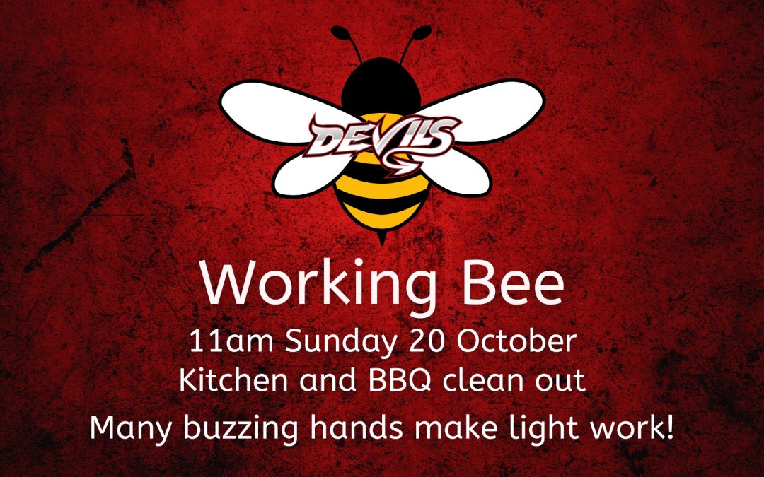 🐝  WORKING BEE | SUN 20 OCT 🐝