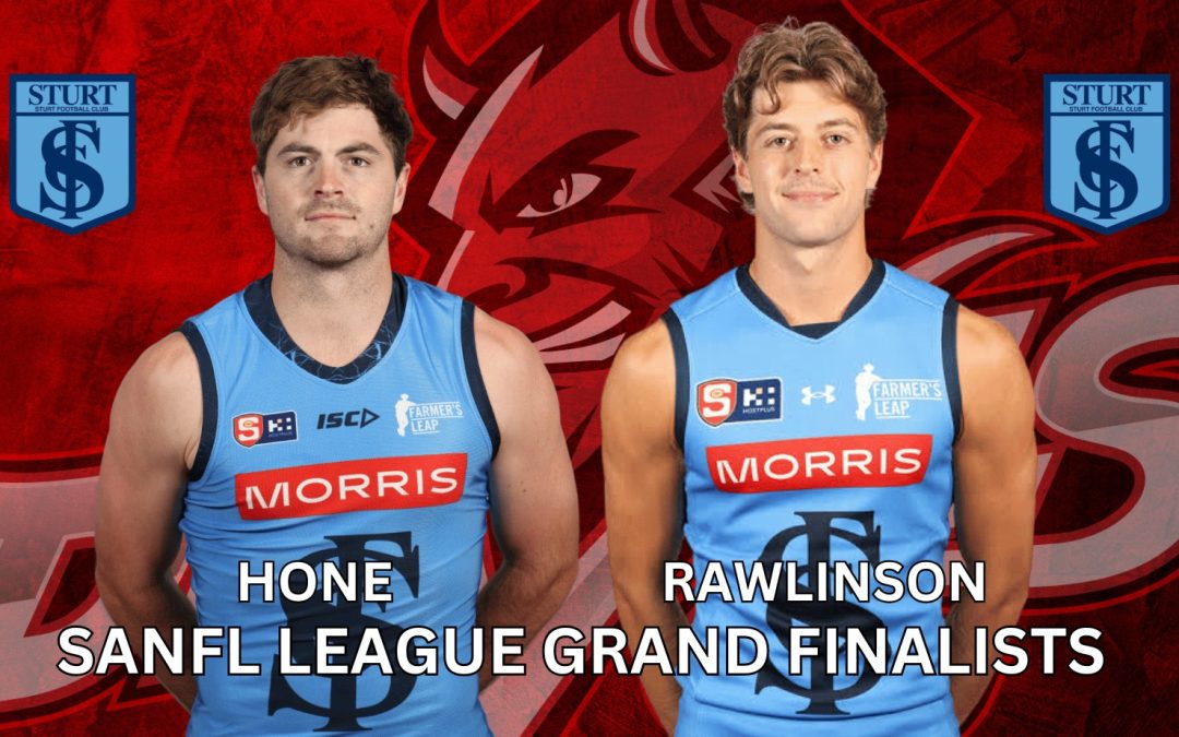 🔵🔵 Sturt League GF🔴⚪